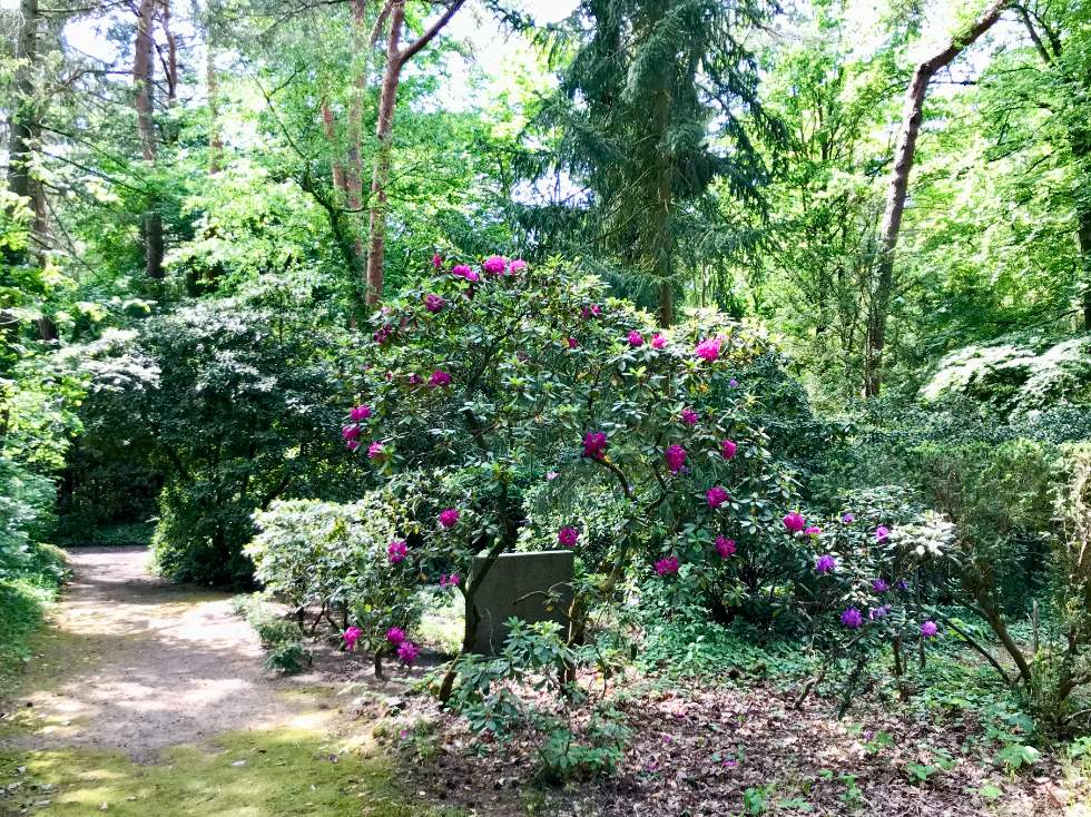 Une tombe modeste entourée de plantes en fleurs
