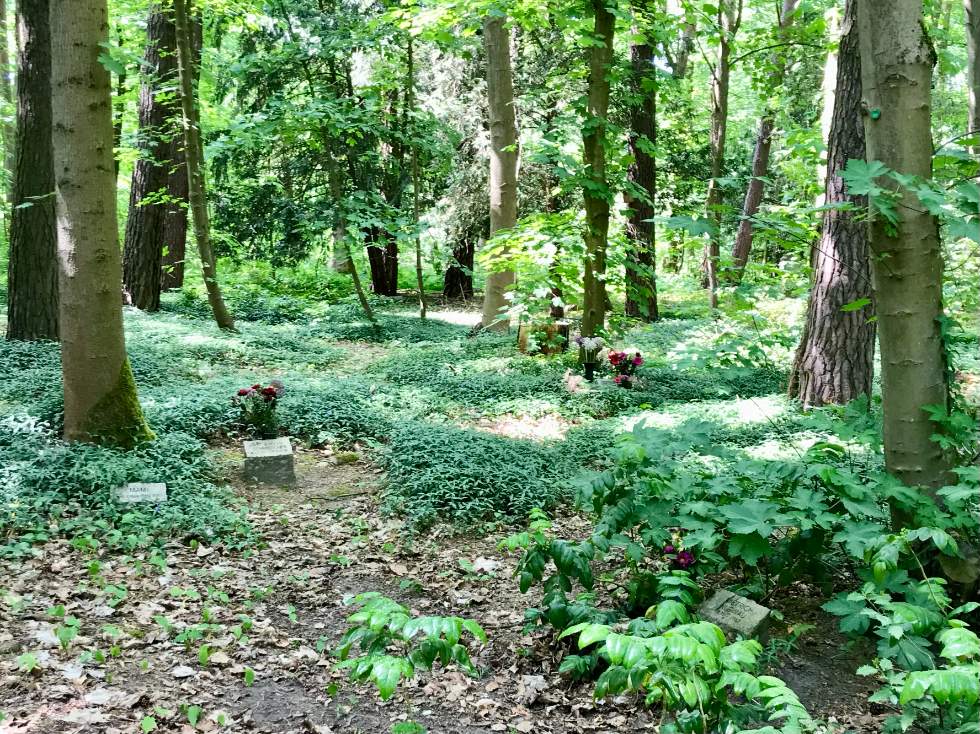 De simples inscriptions au pied des arbres