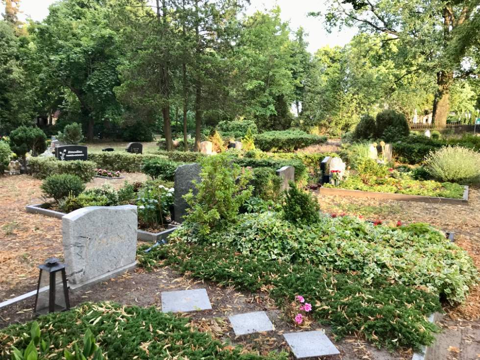 Un cimetière classique où les tombes sont couvertes de végétation
